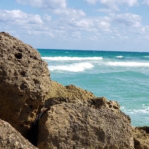 Meet your Posher, Robin